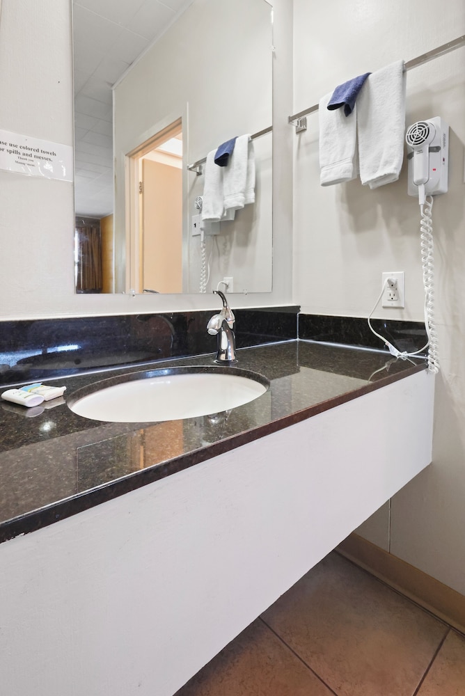 Classic Suite (Not Pet Friendly) photo 3