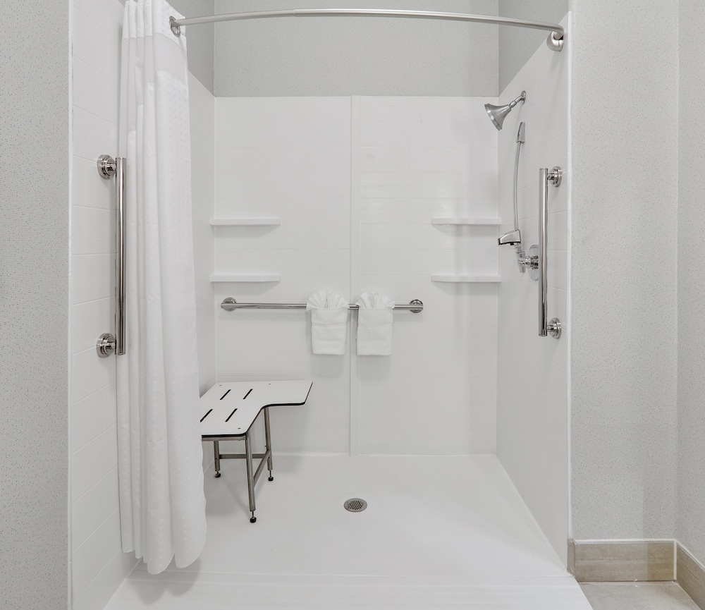 Standard Room, 1 King Bed, Accessible (Hear, Roll In Shwr) - Photo 10