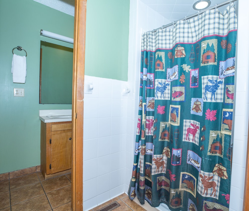Family Cabin, 2 Bedrooms, Accessible, Lake View photo 3