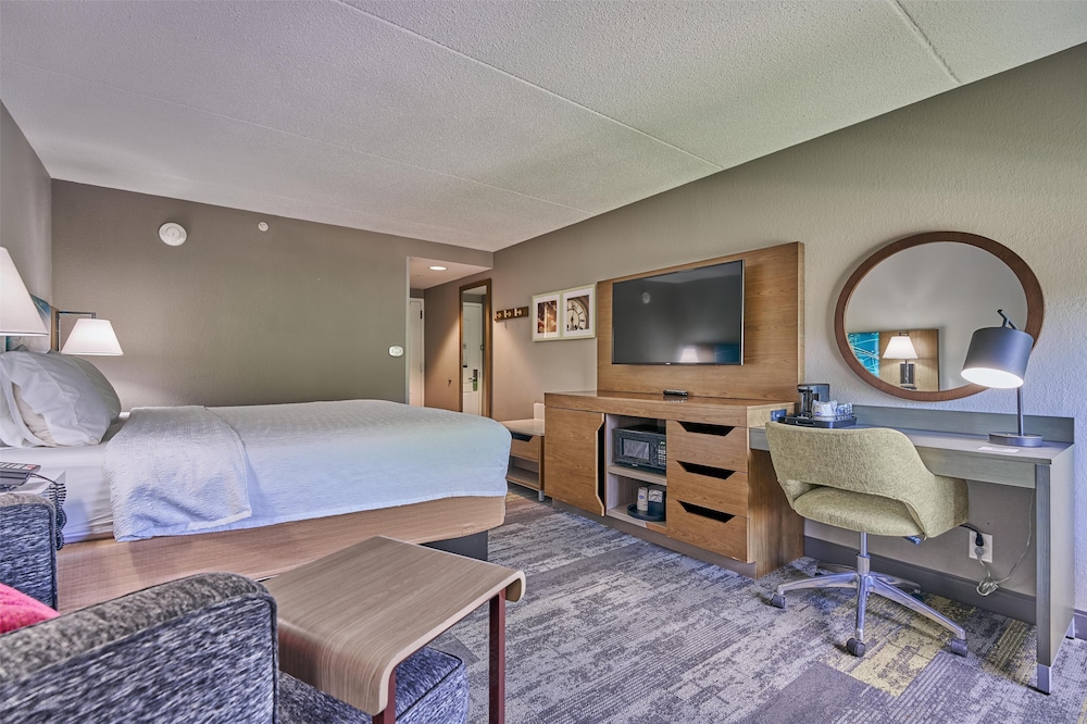 Room, 1 King Bed, Accessible (Roll In Shower) photo 1