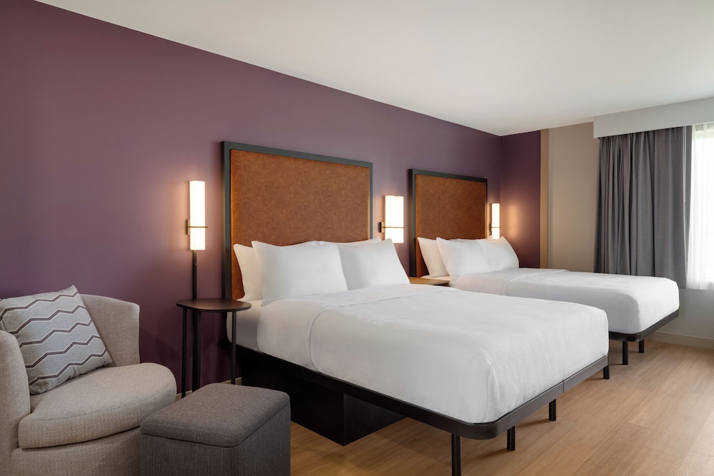 Studio Suite, 2 Queen Beds photo 1