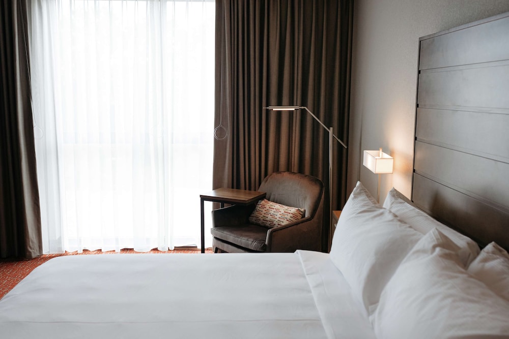 Room, 1 King Bed, Accessible, Bathtub (Hearing & Mobility) - Photo 1