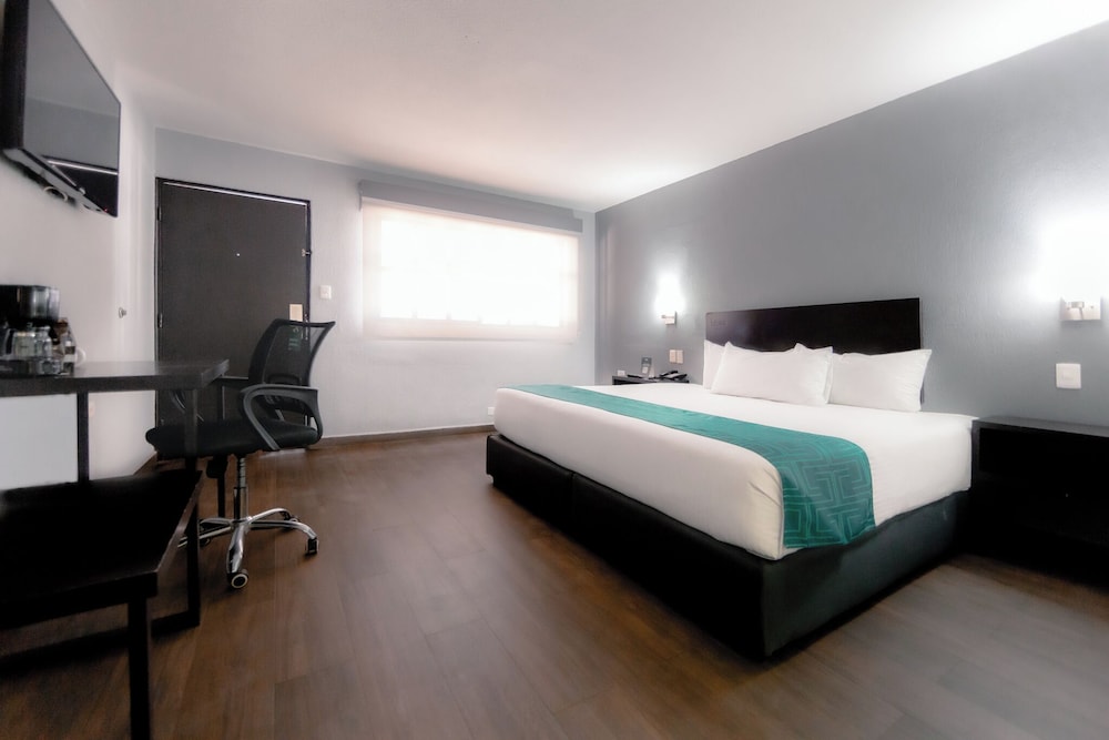 Deluxe Single Room photo 2