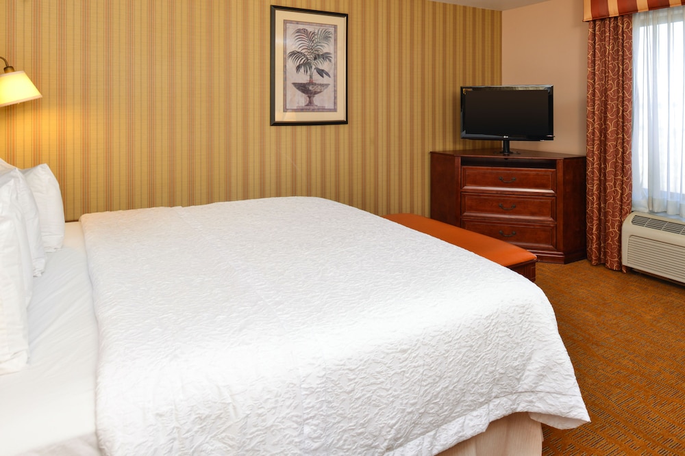 Room, 1 King Bed, Accessible - Photo 3