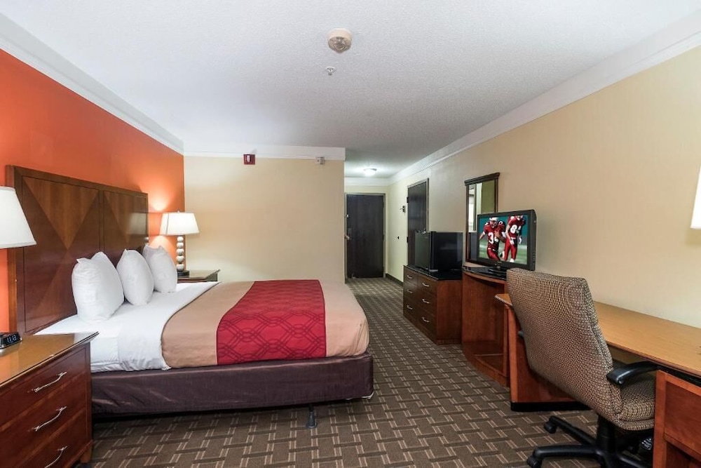 Basic Single Room photo 1