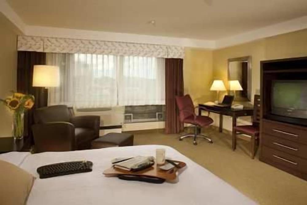 Room, 1 King Bed, Accessible, Bathtub