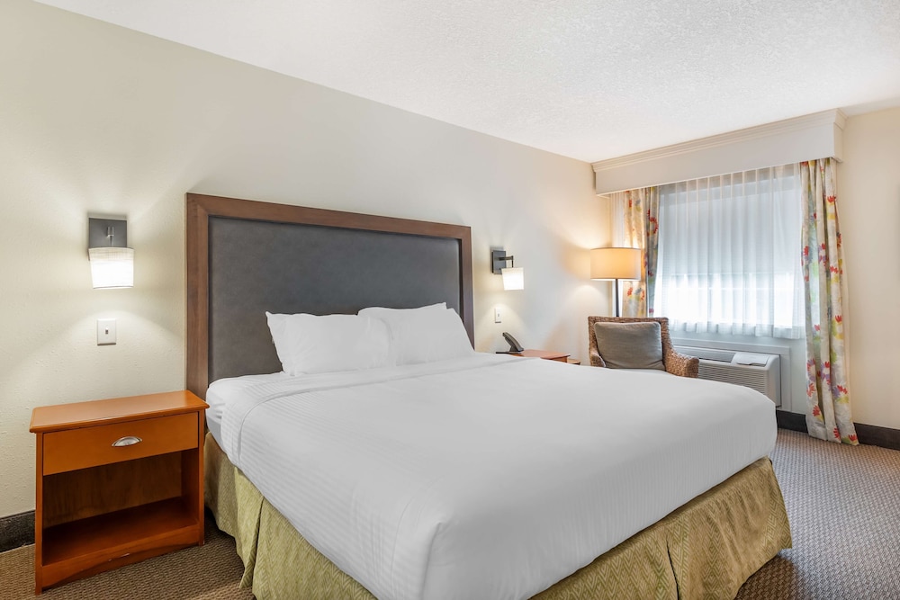 Standard Room, 1 King Bed, Accessible, Bathtub - Photo 1