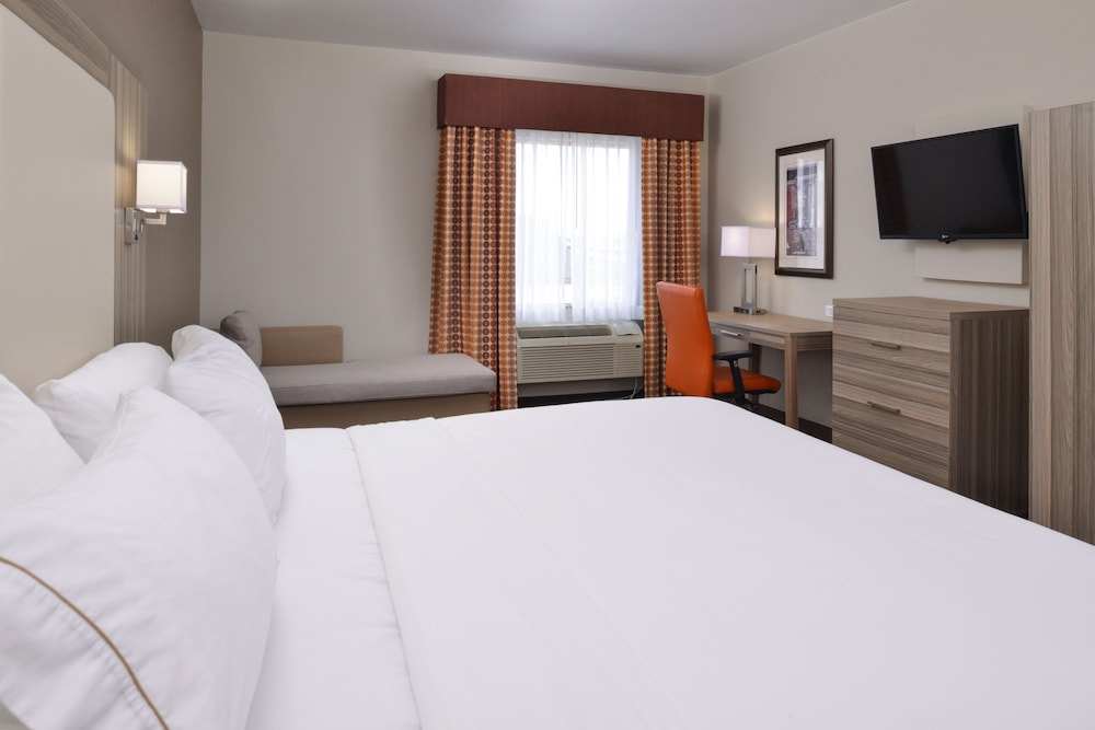 Room, 1 King Bed, Roll-in Shower (Communications, Mobility) photo 2