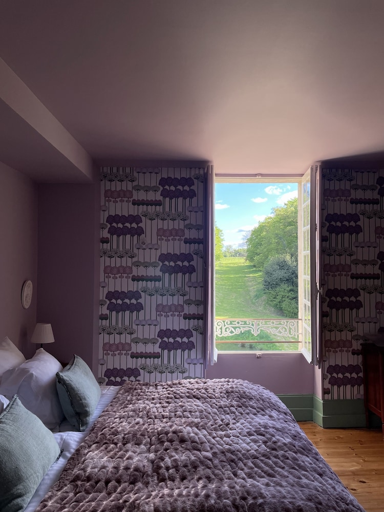 Junior Suite Allium photo 3