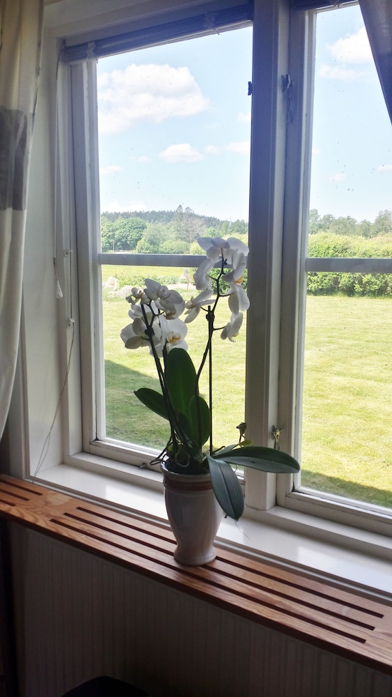 Double Or Twin Room, 2 Twin Beds, Garden View photo 2