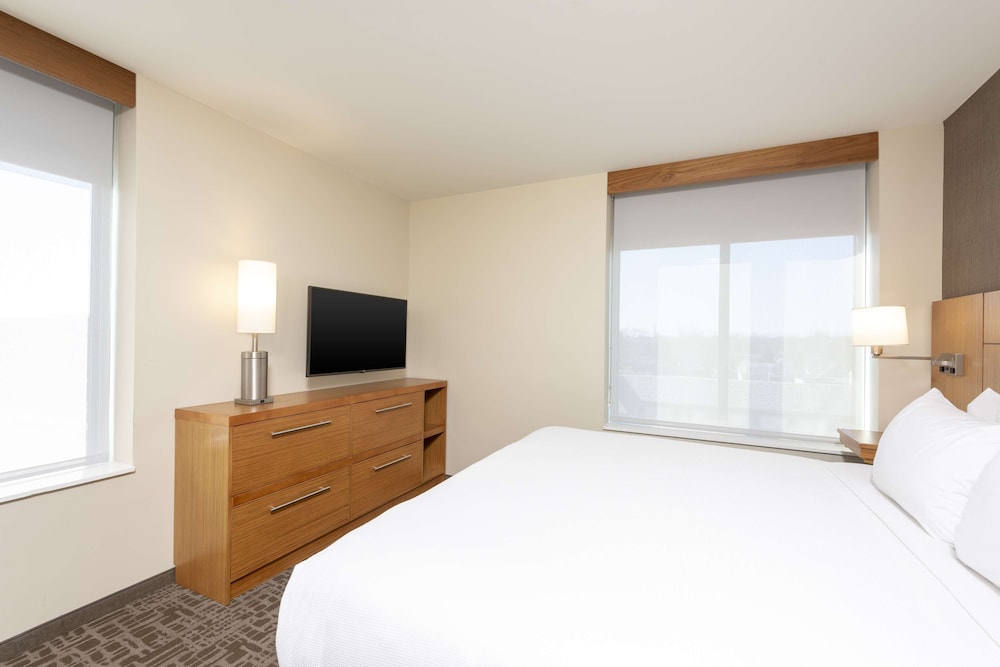 Suite, 1 King Bed photo 2