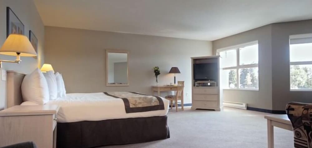 Deluxe Room, 1 King Bed photo 1