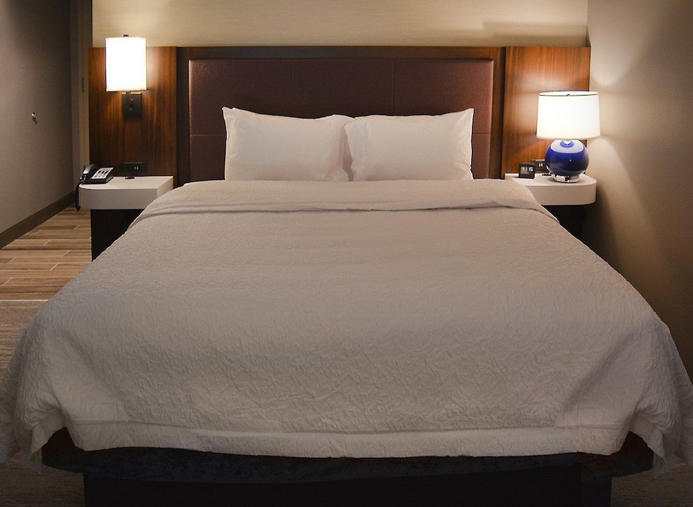 Classic Room, 1 King Bed, Accessible (Mobility & Hearing, Roll-in Shower) photo 2