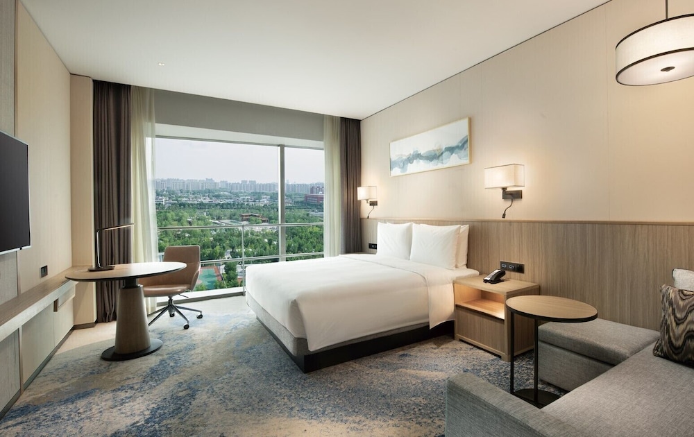 Room, 1 King Bed with Sofa bed