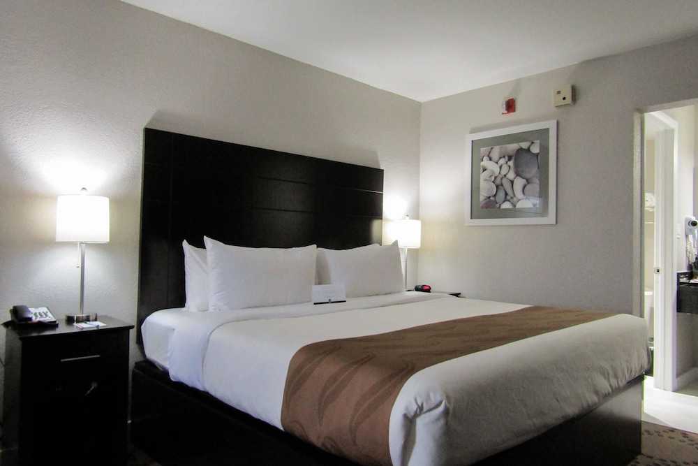 Room, 1 King Bed, Lake View photo 3