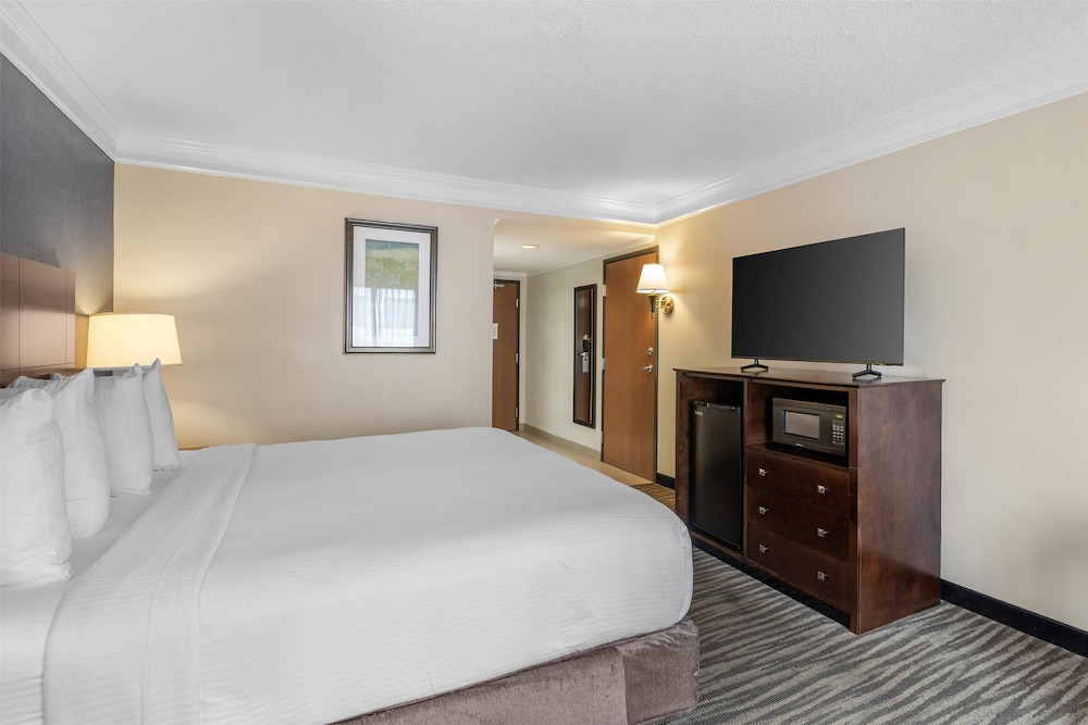 Standard Room, 1 King Bed, Accessible, Refrigerator & Microwave photo 1