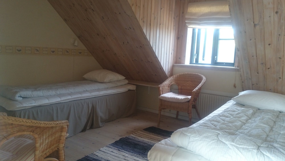 Basic Room, Non Smoking photo 1