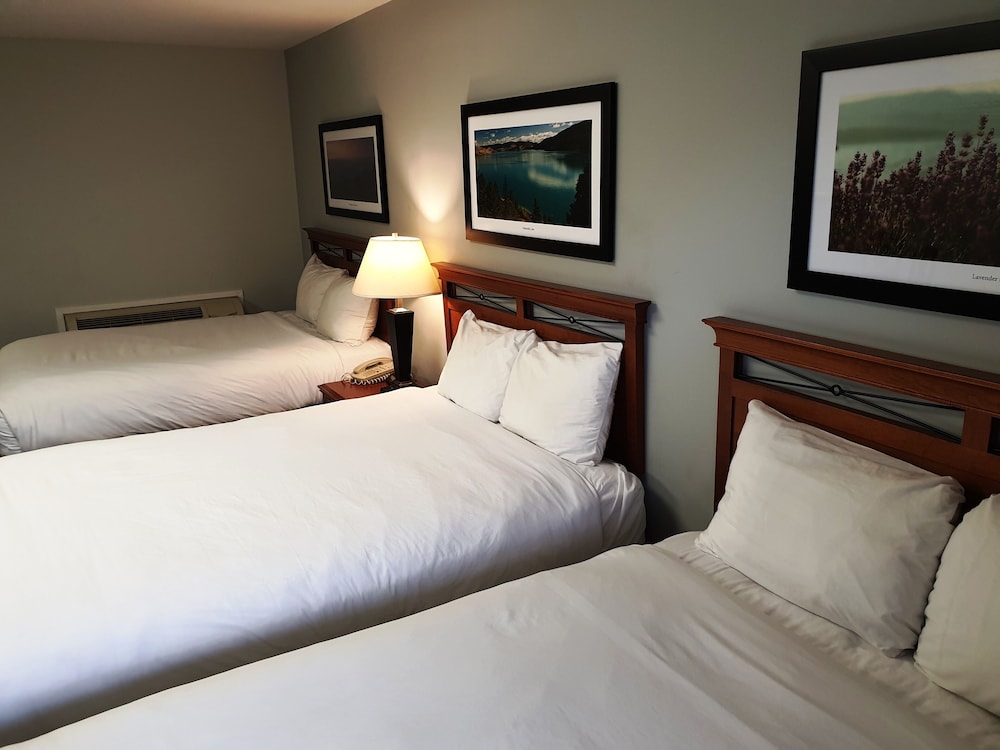 Suite, 3 Queen beds photo 1