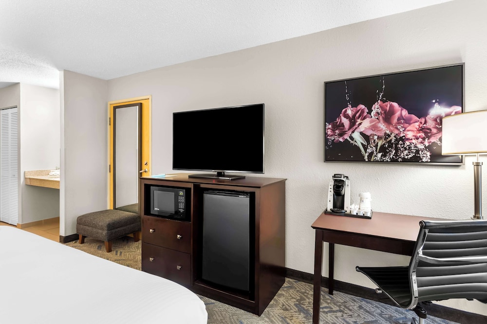 Standard Room, 1 King Bed, Accessible, Refrigerator & Microwave - Photo 3