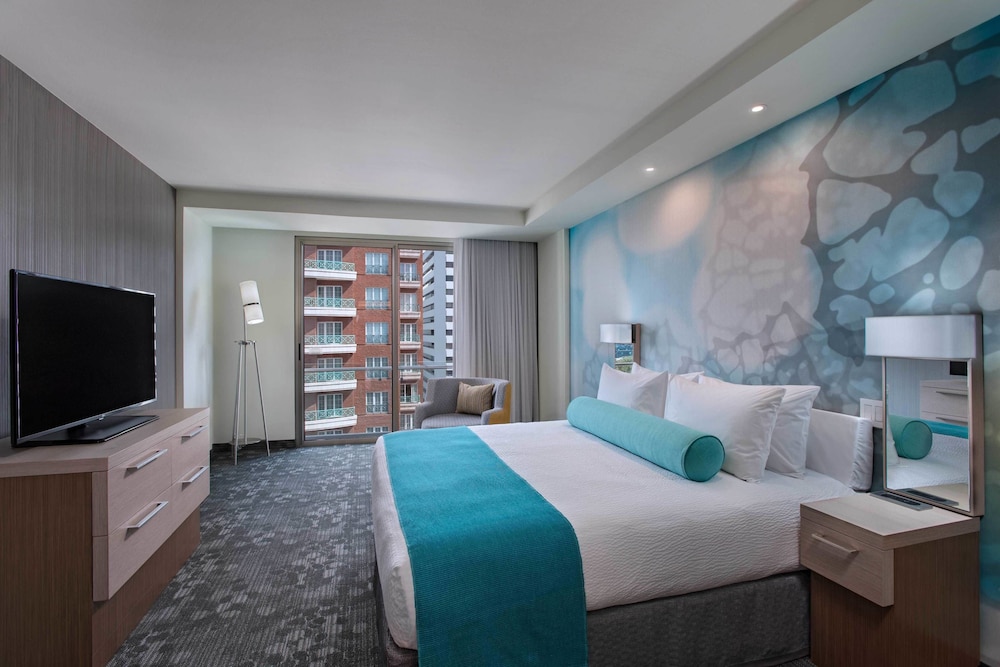Suite, 1 King Bed with Sofa bed