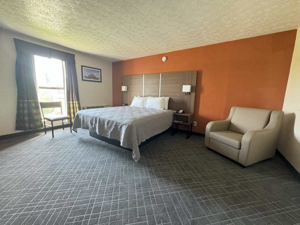 Standard Room, 1 King Bed, Non Smoking - Photo 4