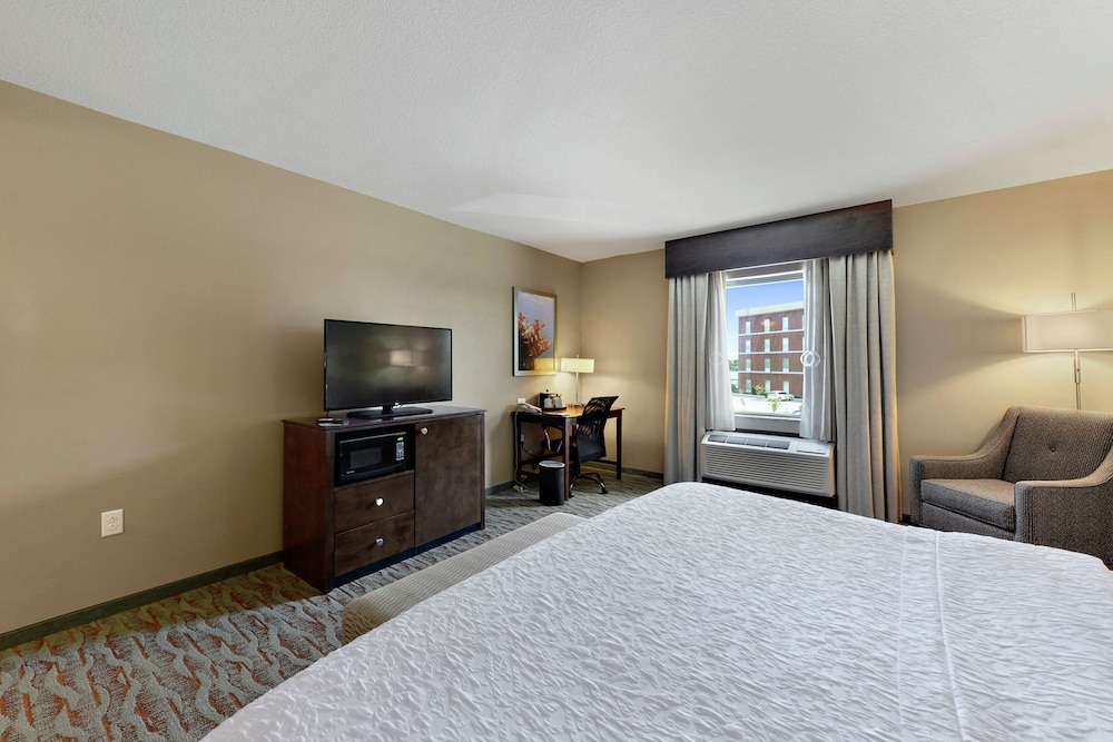 Room, 1 King Bed, Accessible, Non Smoking