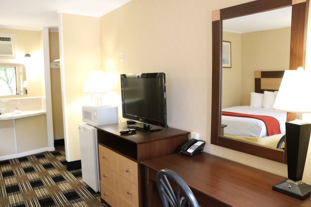 Room, 1 King Bed, Non Smoking