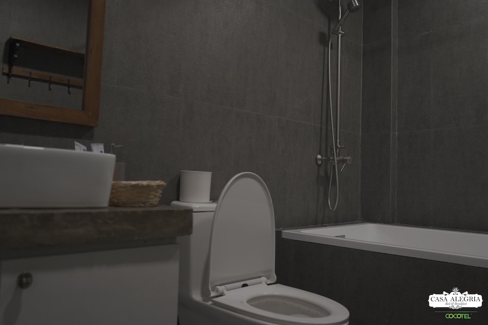 Executive Studio Suite photo 2