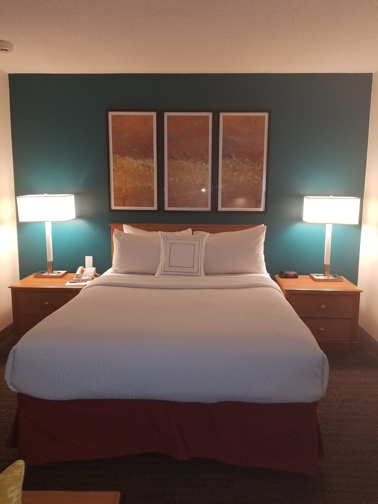 Studio, 1 Queen Bed With Sofa Bed, Non Smoking (Mobility/Hearing Access, Roll-In Shwr) photo 3