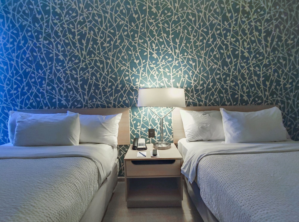 Room, 2 Double Beds photo 3