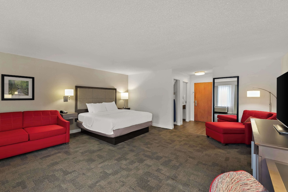Suite, 1 King Bed, Non Smoking photo 1