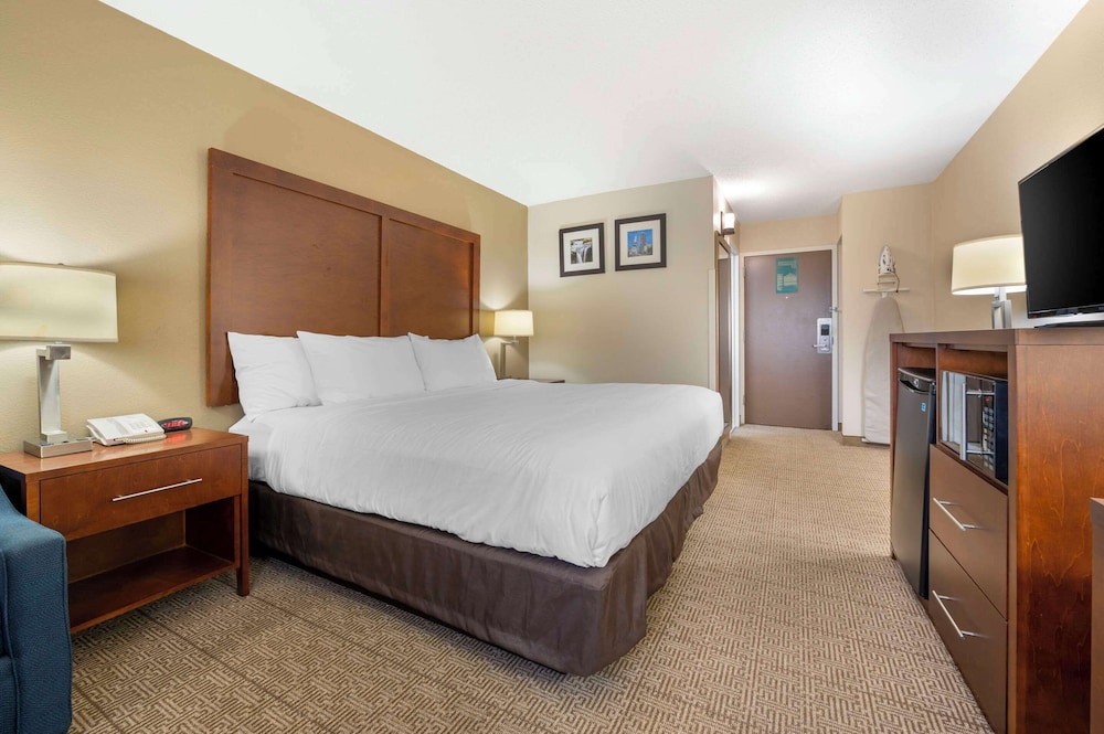 Suite, 1 King Bed, Non Smoking (Upgrade) - Photo 1