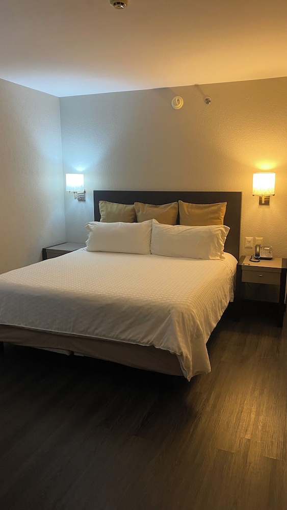 Standard Single Room photo 3