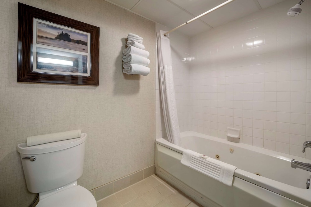 Standard Room, 1 King Bed, Non Smoking, Jetted Tub - Photo 5