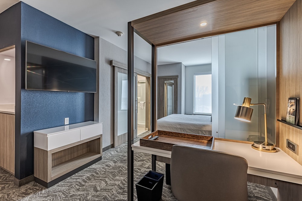 Suite, 1 King Bed (Mobility Accessible, Tub) - Photo 1