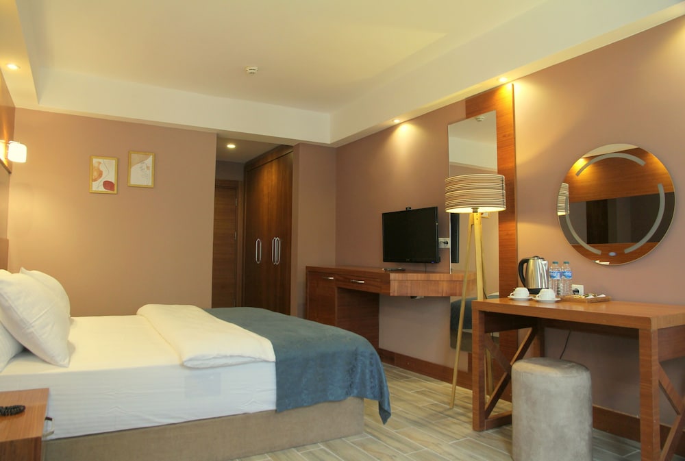 Double or Twin Room, Mountain View photo 3