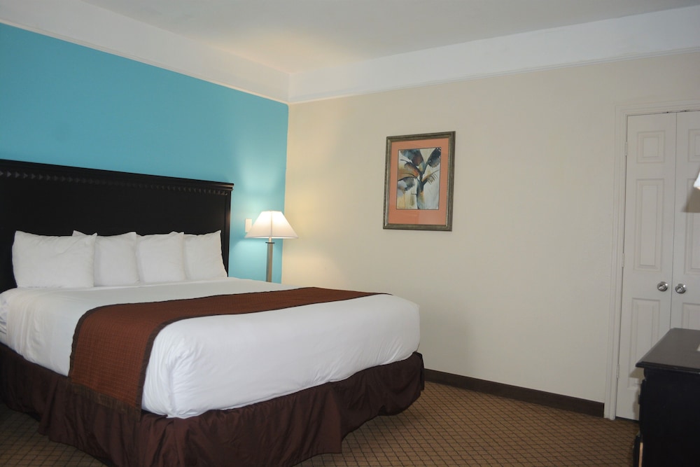 Suite - Photo 4