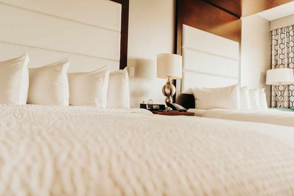 Premium Room, 2 Queen Beds photo 1