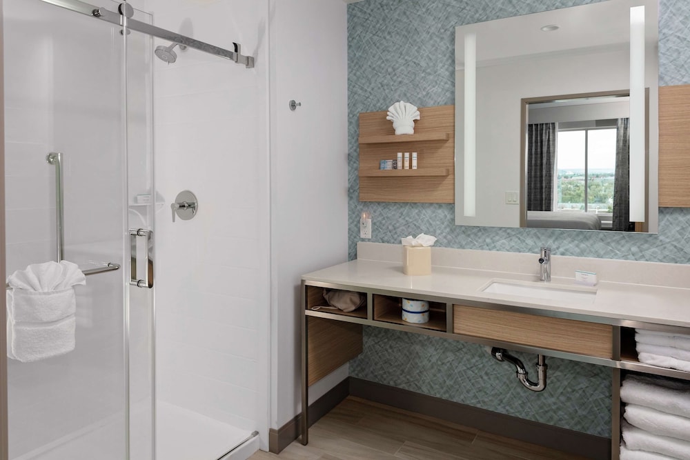 Suite, 1 Bedroom - Photo 4