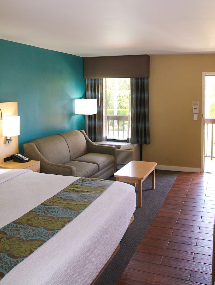 Standard Room, 1 King Bed, Refrigerator & Microwave, Mountain View - Photo 3