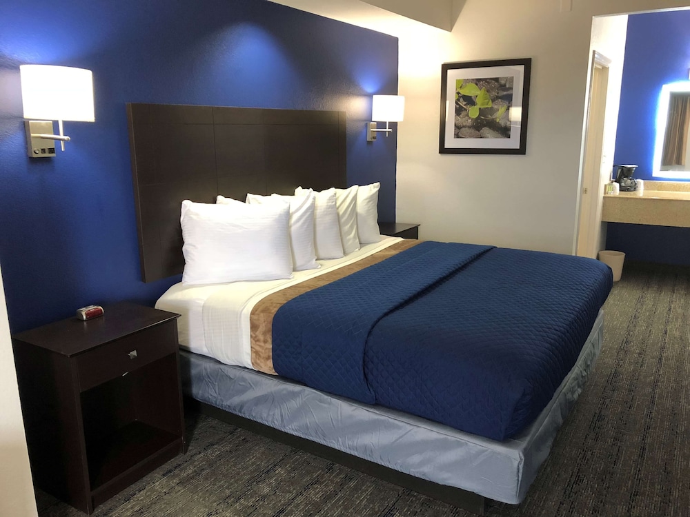 Suite, 1 King Bed photo 1