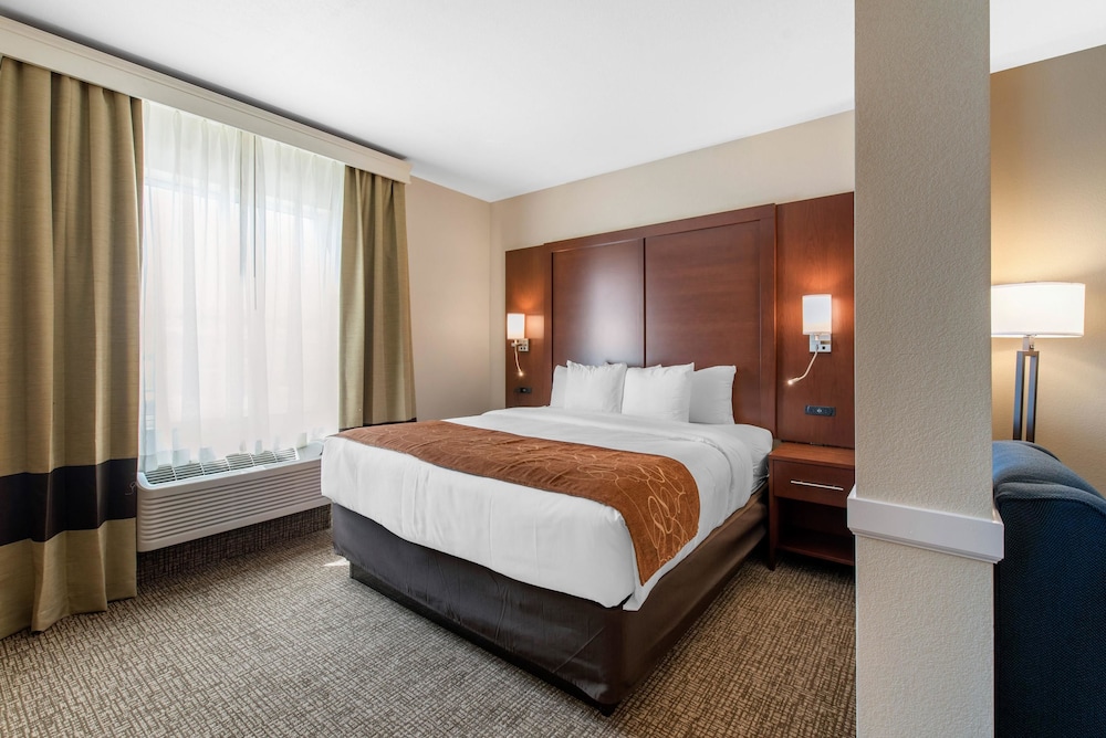 Suite, 1 King Bed, Non Smoking (Efficiency) photo 1