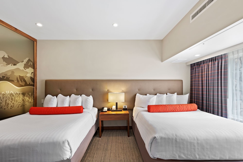 Suite, Multiple Beds photo 2