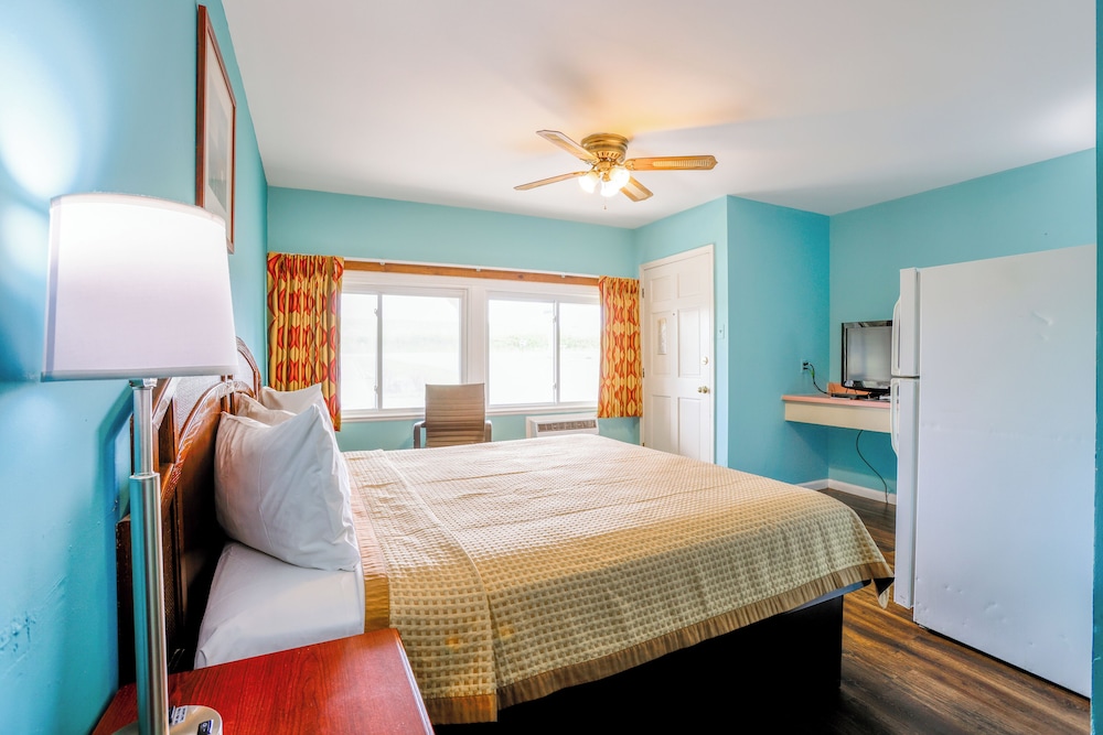 Room, 1 King Bed, Non Smoking photo 3