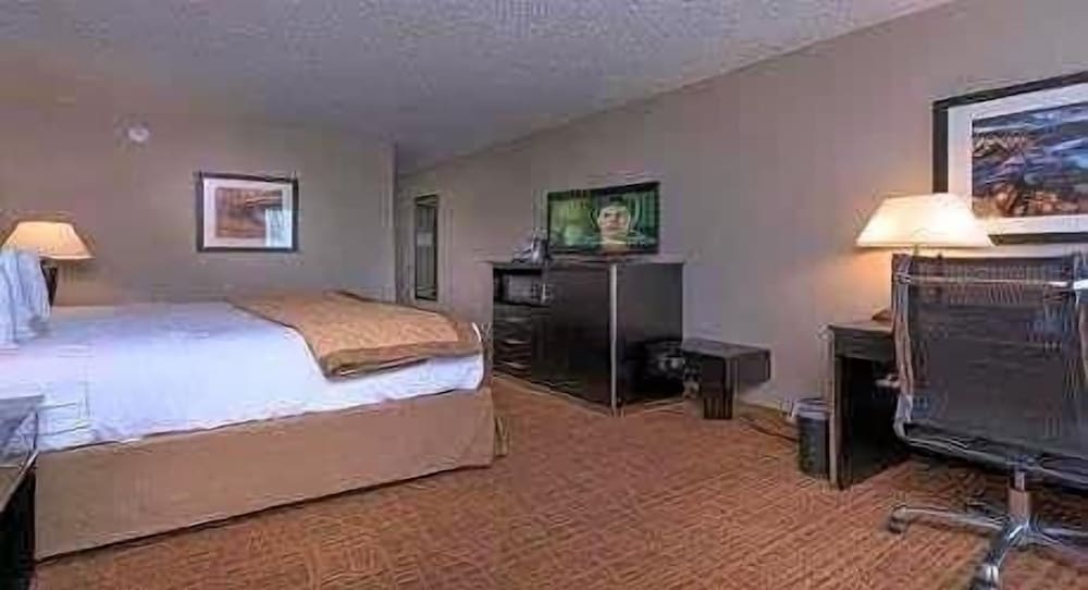 Room, 1 King Bed, Non Smoking photo 3