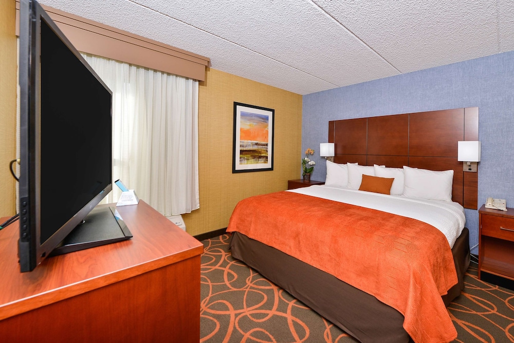 Standard Room, 1 King Bed, Accessible, Bathtub - Photo 1