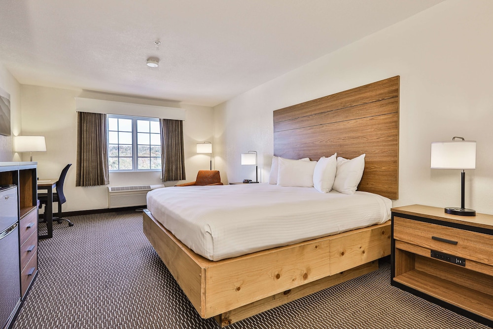 Standard Room, 1 King Bed, Non Smoking, Mountain View photo 1