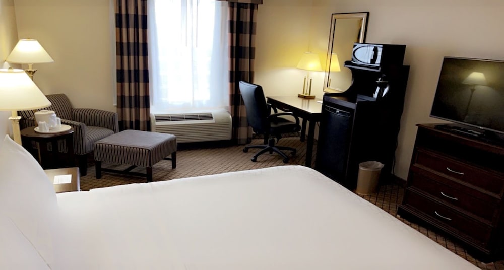 Suite, 1 King Bed with Sofa bed (Wet Bar) - Photo 2