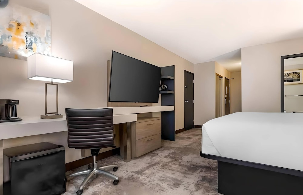 Room, 1 King Bed, Accessible, Non Smoking photo 3