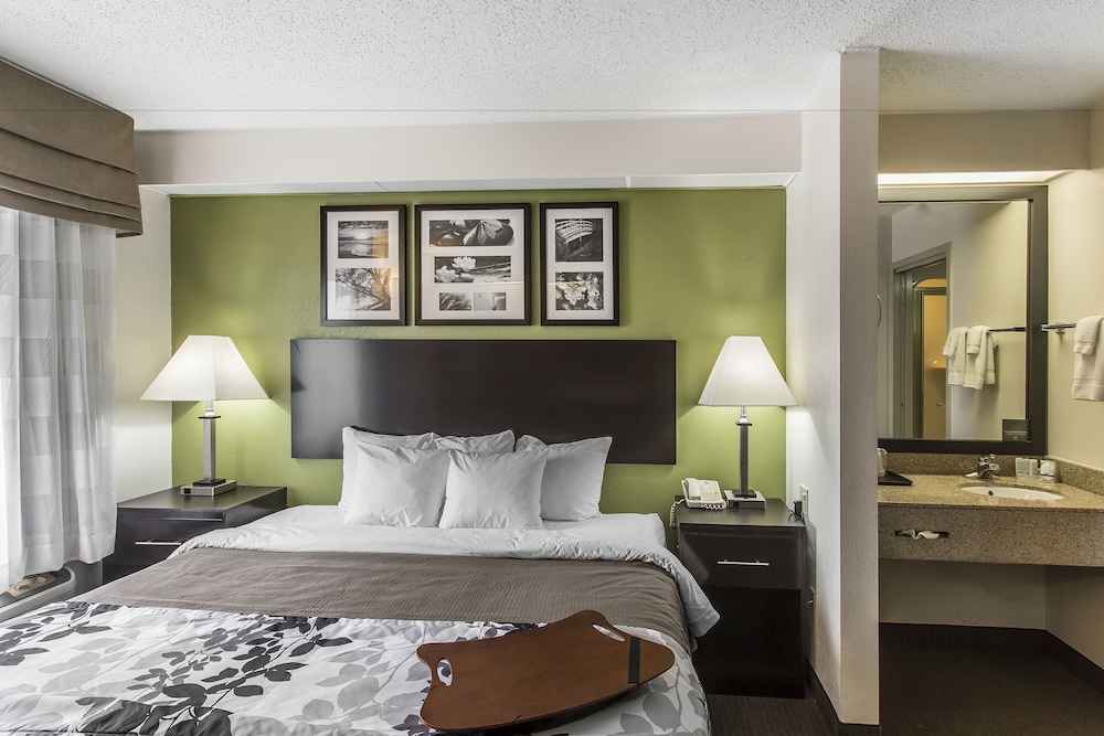 Room, 1 Queen Bed, Accessible, Non Smoking (Roll-in Shower) photo 2